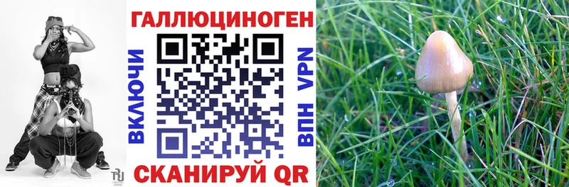 Галлюциногенные грибы Cubensis  Златоуст 