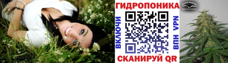 дарнет шоп  Златоуст  даркнет наркотические препараты  Марихуана план 